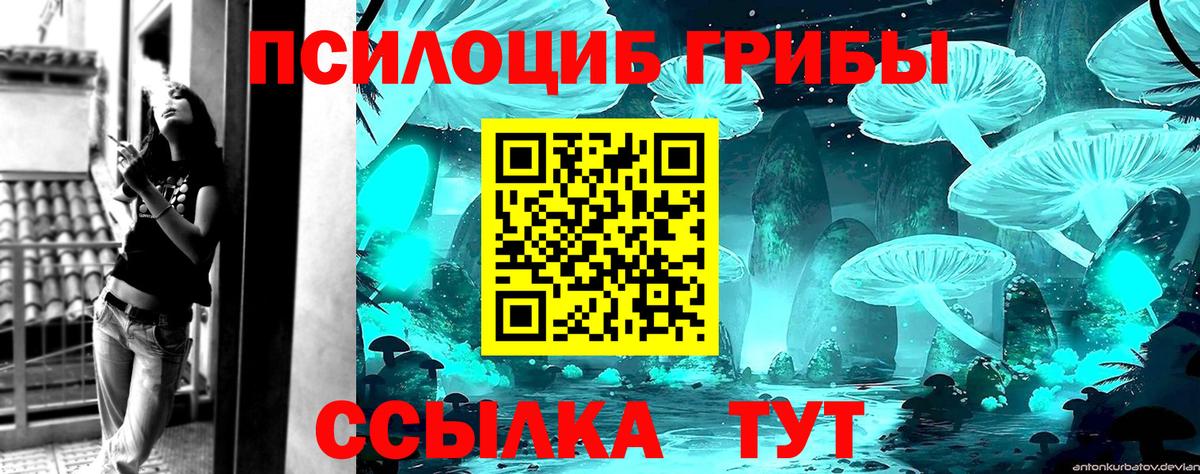 Псилоцибиновые грибы мицелий  Вход с VPN  Кунгур  Псилоцибиновые грибы Magic Shrooms 